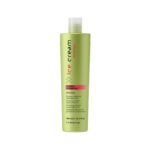 Energy Shampoo Inebrya 300ML