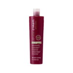 Gold y Diamond Color Perfect Shampoo Inebrya 300ML